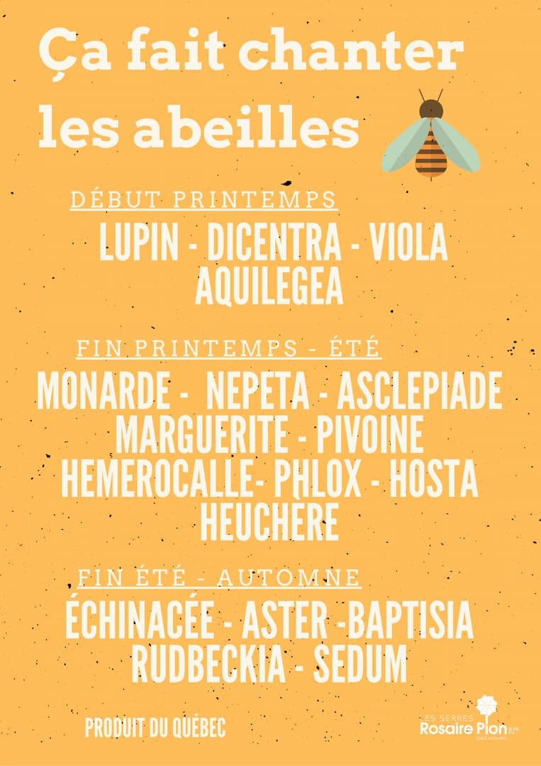 produit1