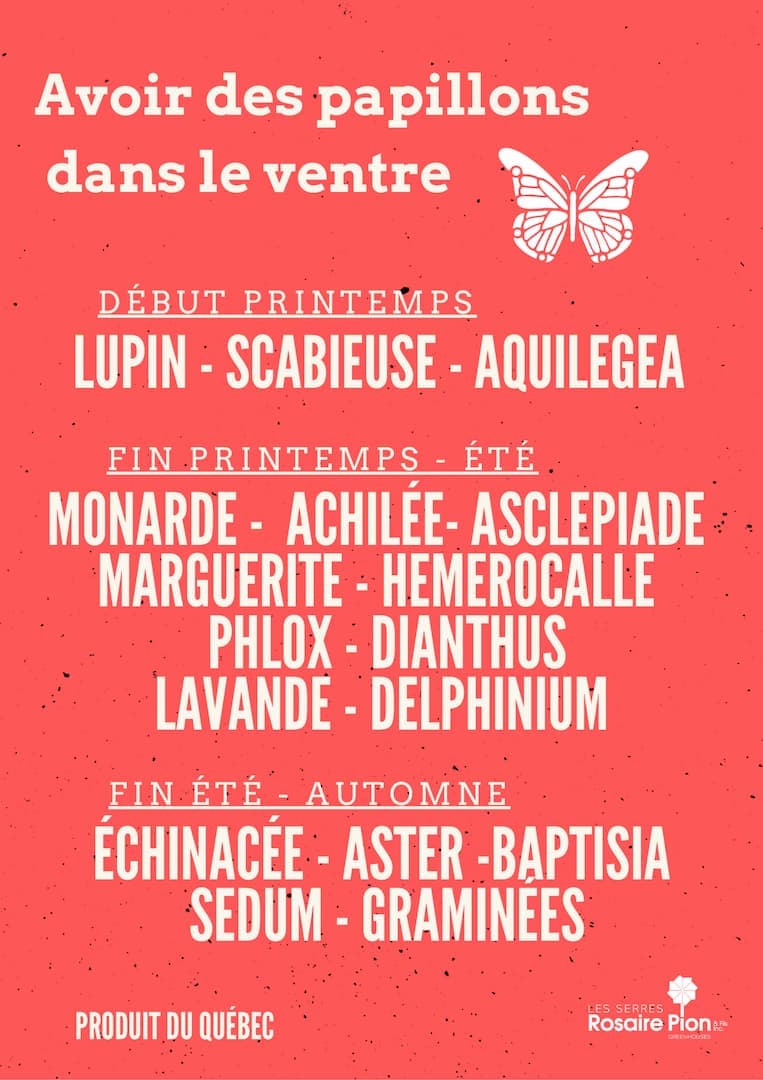 produit2